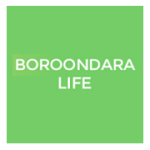 BoroondaraLifelogo