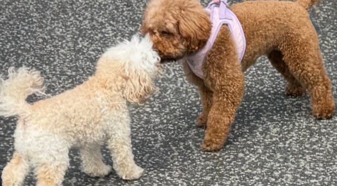 Happy Valentine’s Day